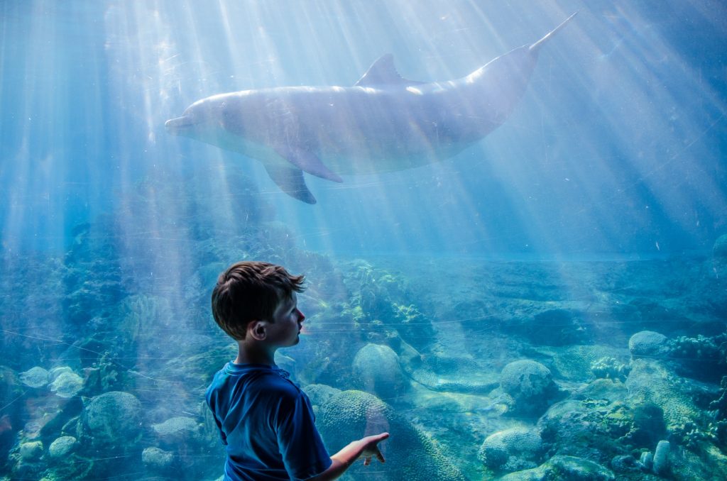 Magical Moment at Sea World Orlando!