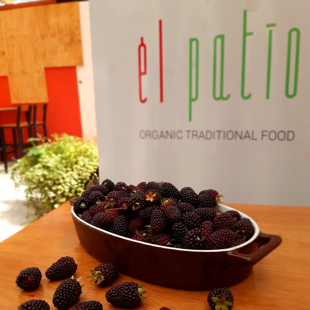 El Patio